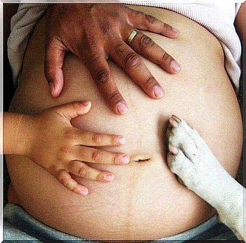 Benefits of a dog - hands and paw on baby bump