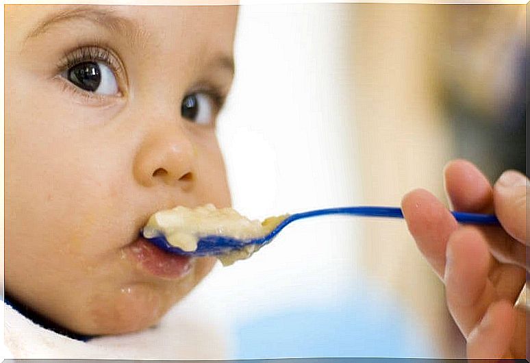 The first foods to give your baby