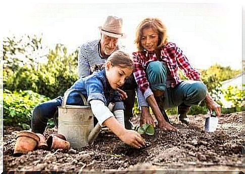 the legal basis of a family - grandchildren with grandparents