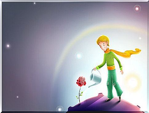 The little prince and the flower